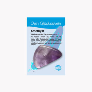 Kleine/Große GSK Sternzeichen - Dein Glücksstein (kleine Karte) € 2,20/Stück VE=3/Set - Amethyst - Fisch VE=3